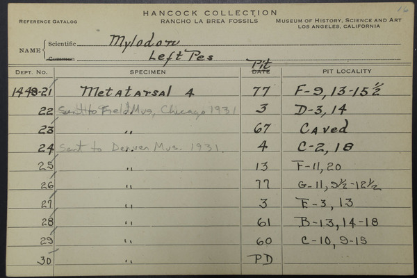 NCC 1448 (4)
